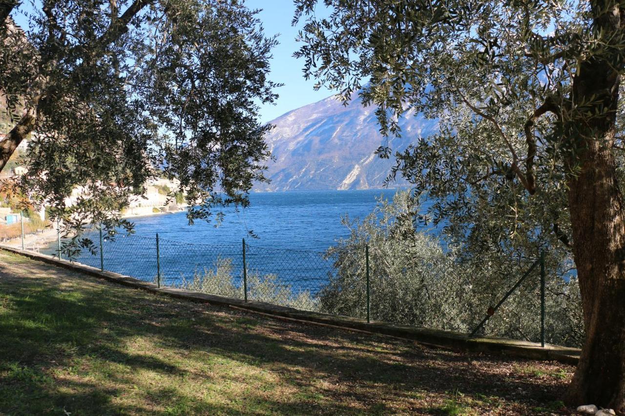 La Casa Sul Lago Apartments - Olive Tree Apartment Limone sul Garda Eksteriør billede