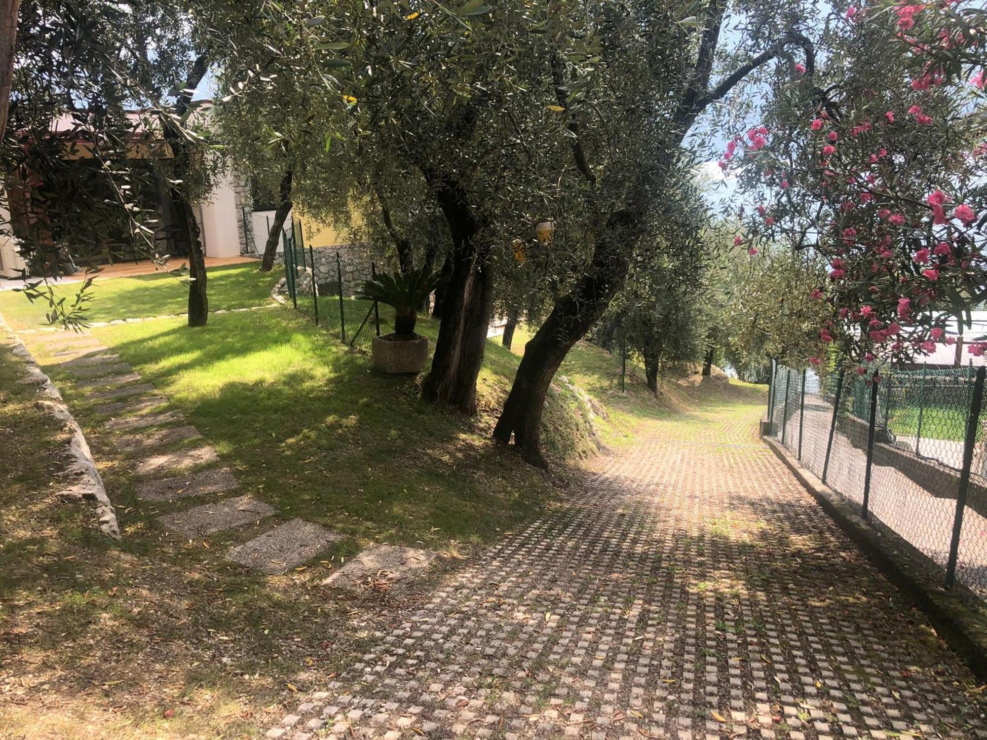 La Casa Sul Lago Apartments - Olive Tree Apartment Limone sul Garda Eksteriør billede