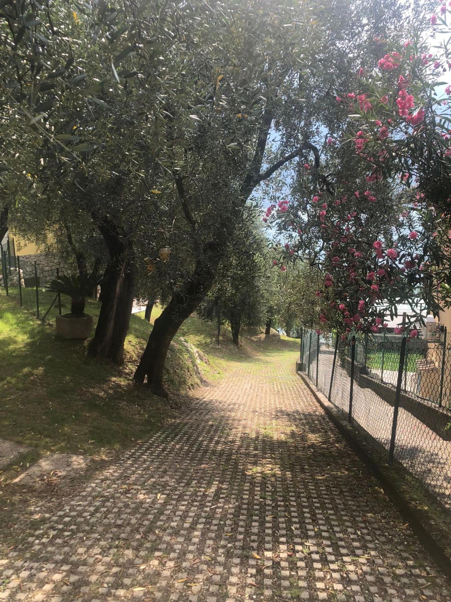 La Casa Sul Lago Apartments - Olive Tree Apartment Limone sul Garda Eksteriør billede