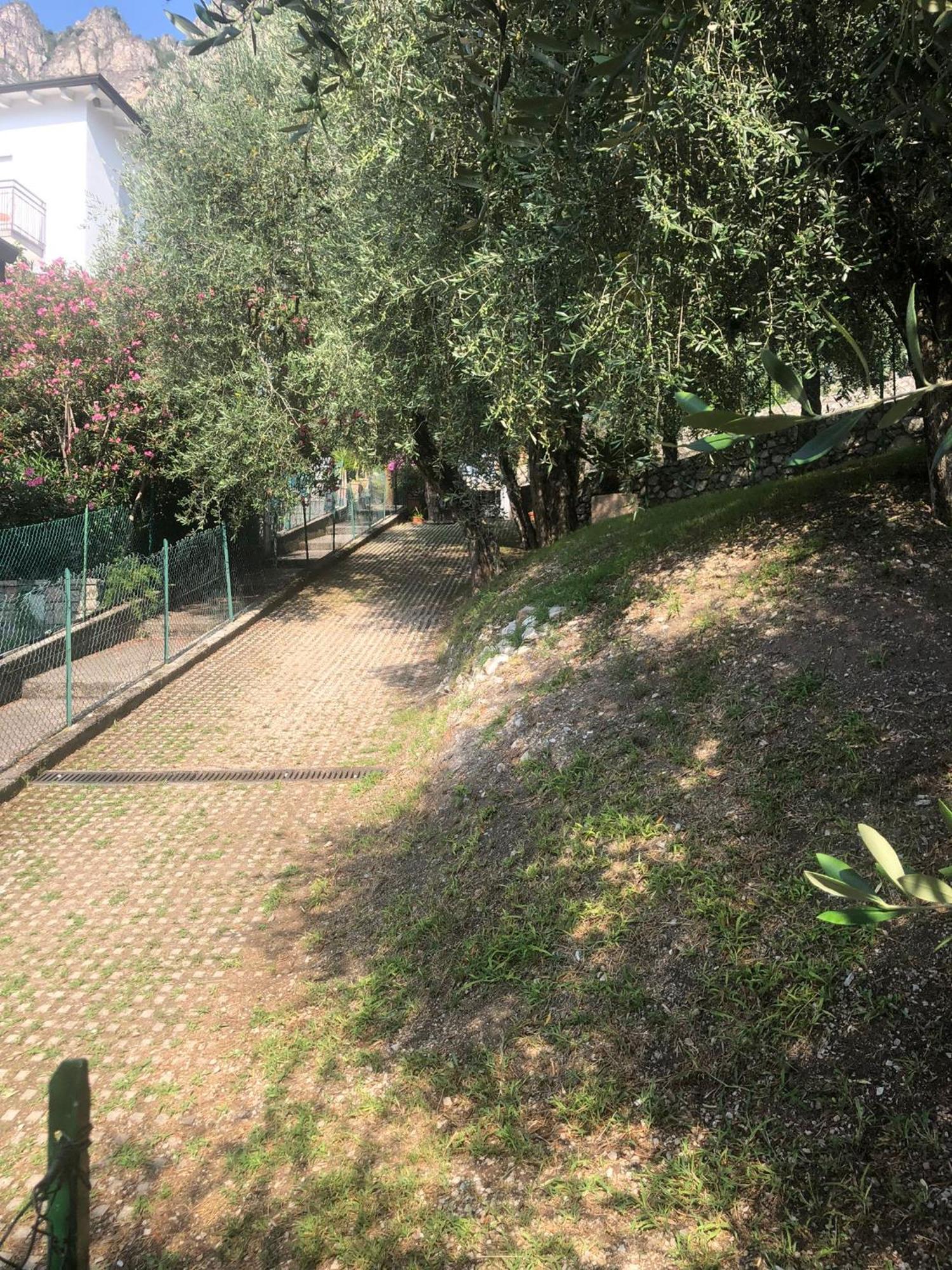 La Casa Sul Lago Apartments - Olive Tree Apartment Limone sul Garda Eksteriør billede